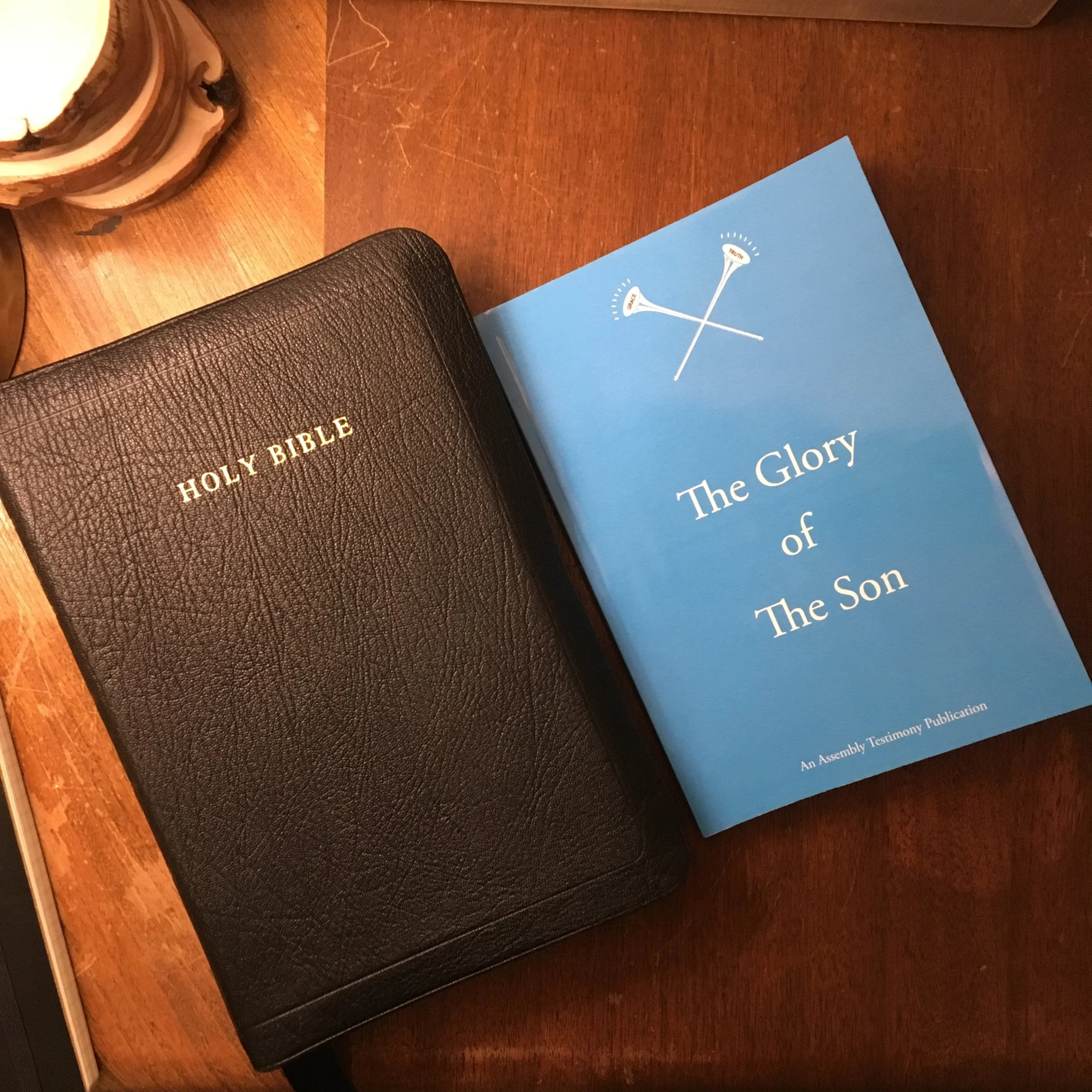 The Glory of the Son