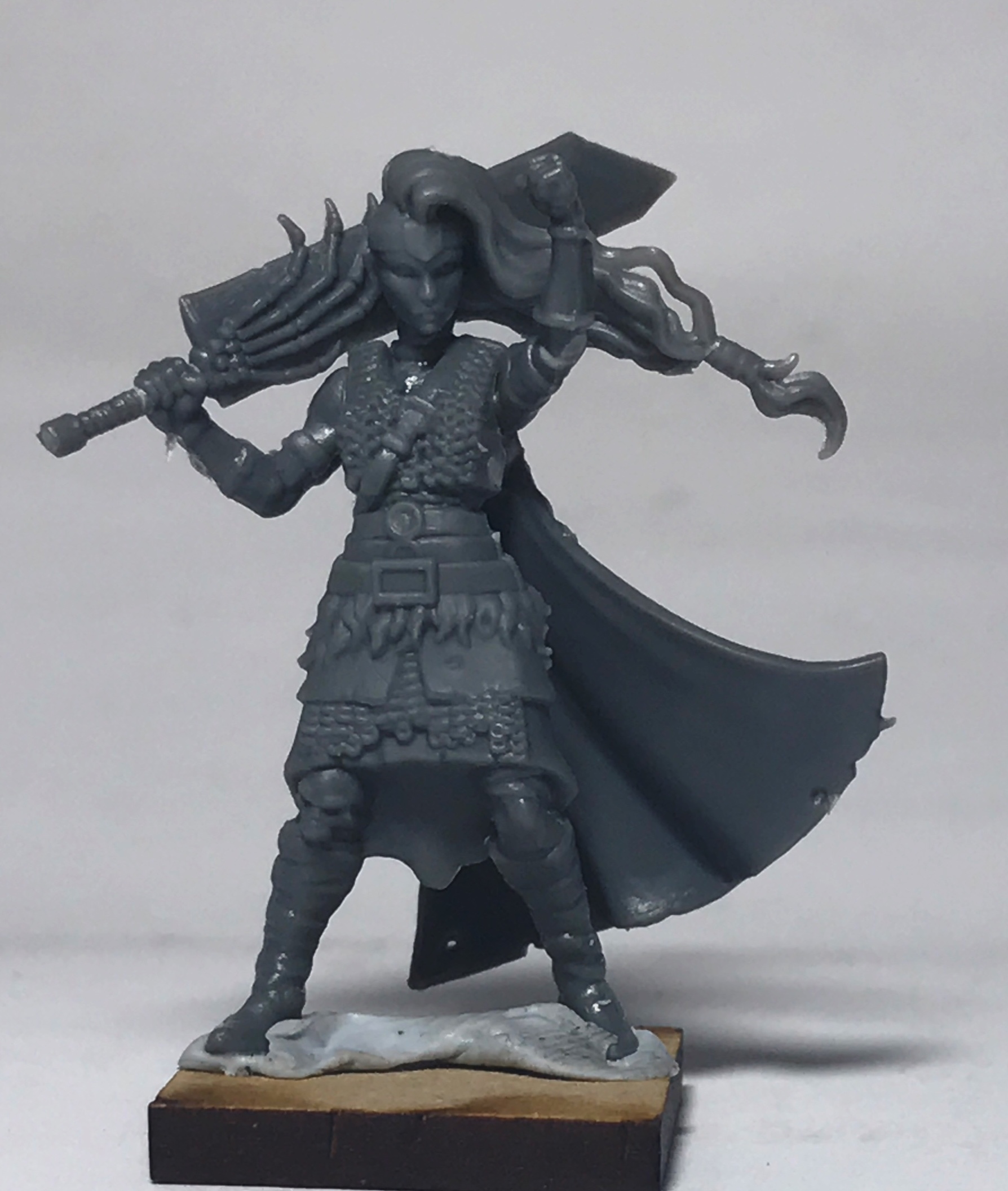 UNBOXING Shieldmaidens from Shieldwolf. 