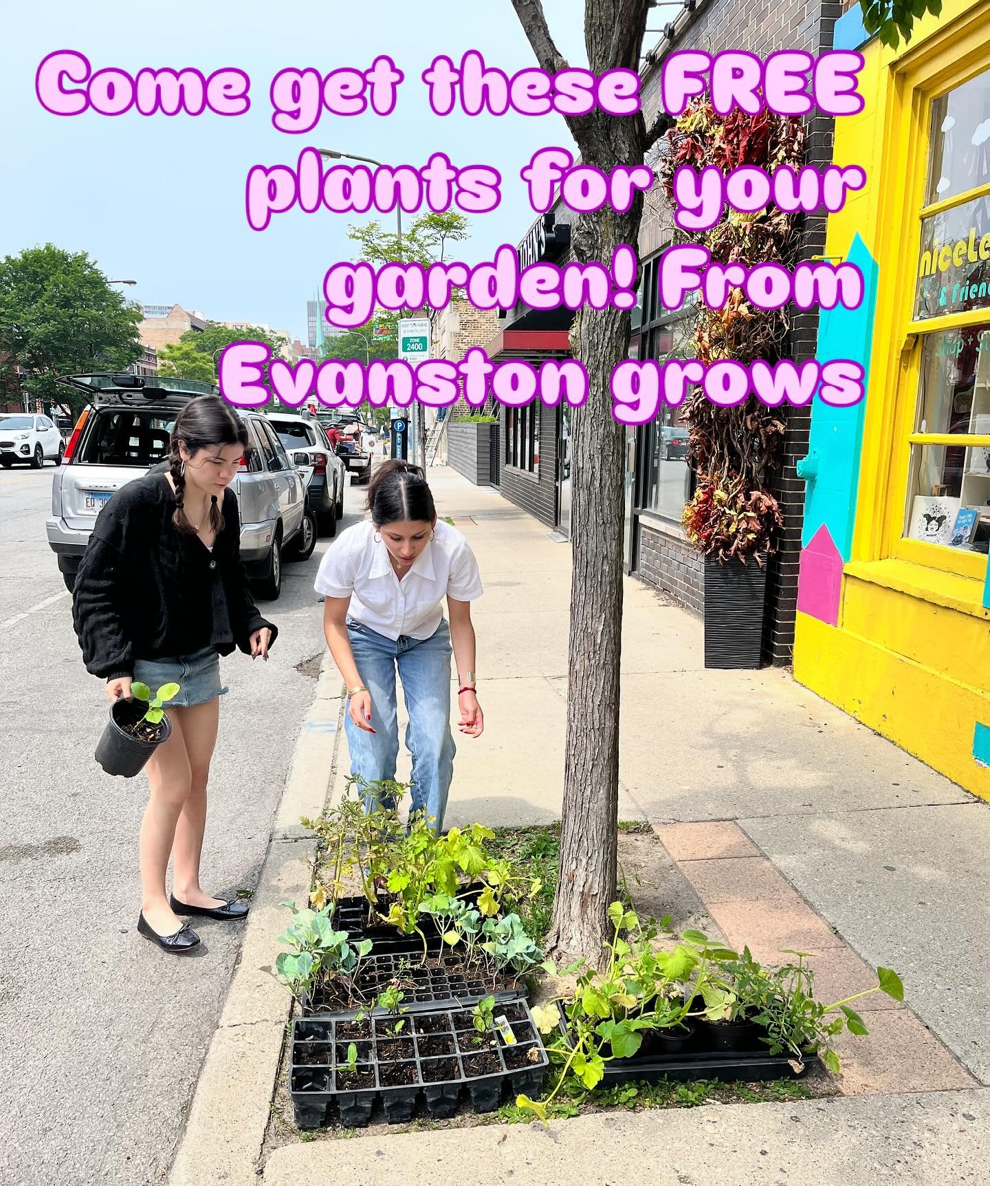 Free plants! Come get some