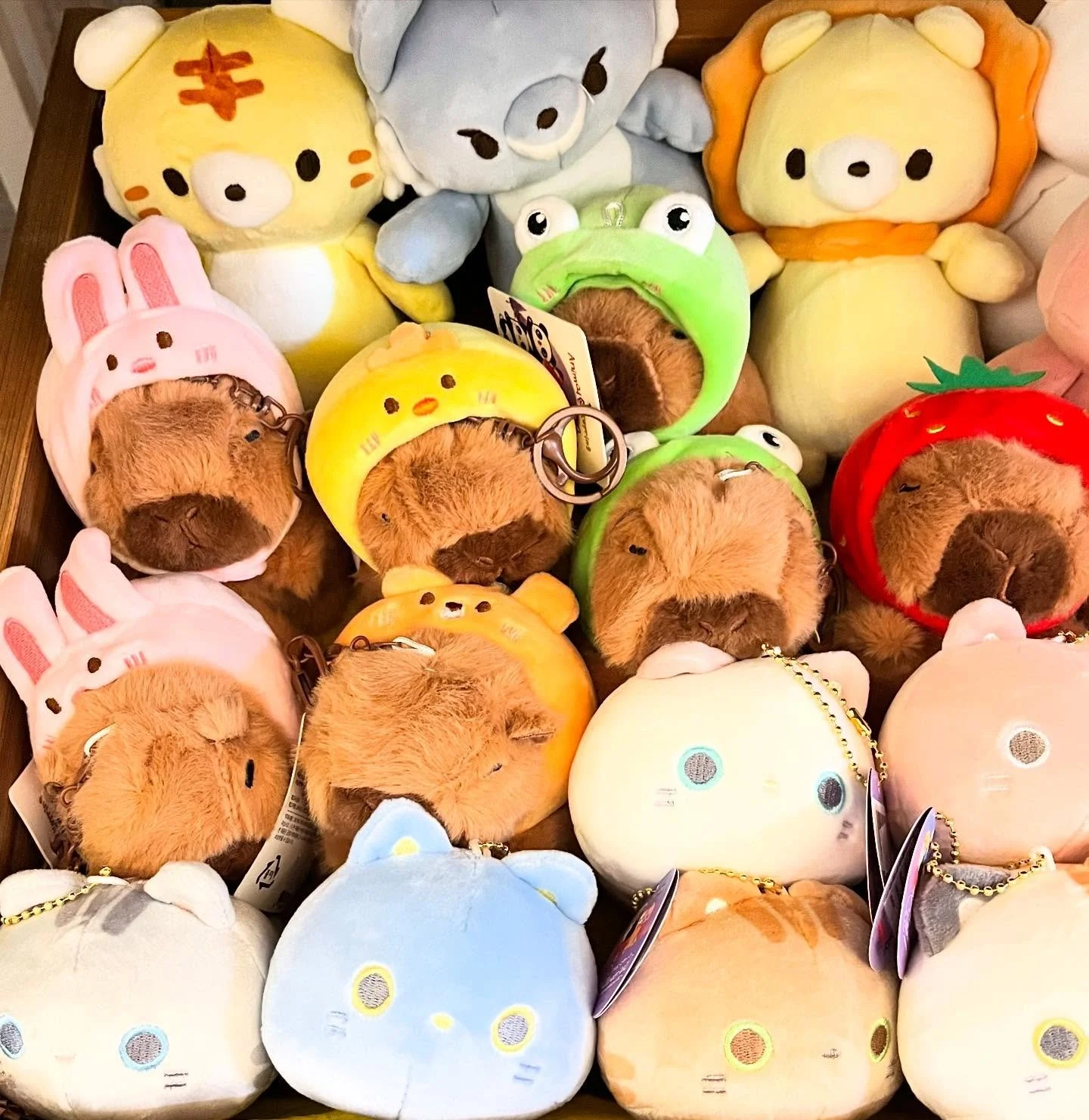 We all need little mental breaks from fighting fascists, or we will surely lose our minds. This is when you lean into hyper cuteness and losing yourself in making art. These freaking plushies just came in and I keep running over to look at their witt