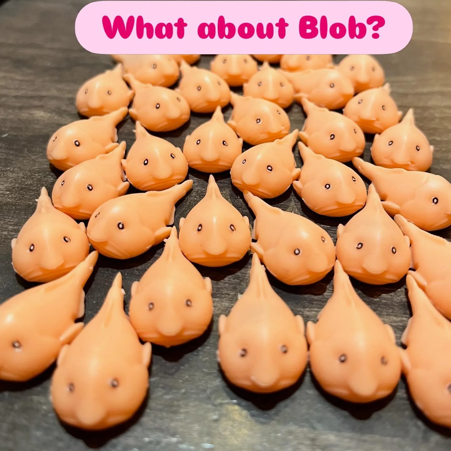 I&rsquo;m rich! Not with $$ but with blobfish! How lucky am I? You too can be blobfish rich!! lol. That is all.  #evanston #silly #blobfish #chicago #fun
