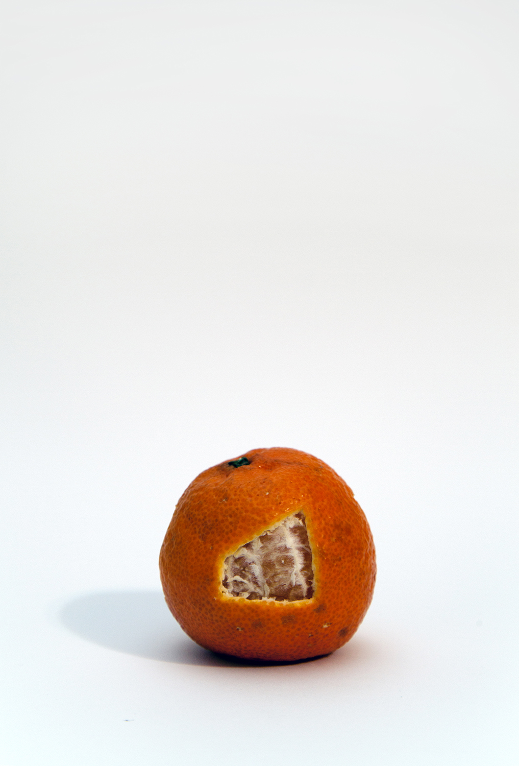 939 SW 31st Ave, Miami, Florida The property boundary - well, the shape anyway - finds its' way onto the above Florida-sourced orange.