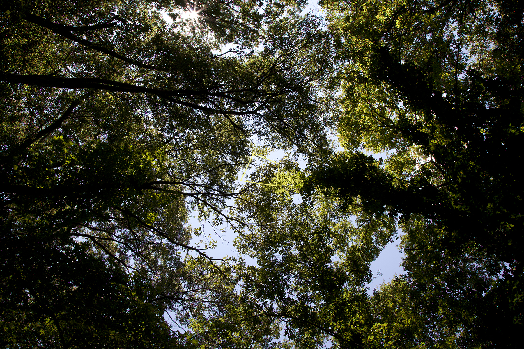 Tuxedo Park, 2014, Archival pigment print