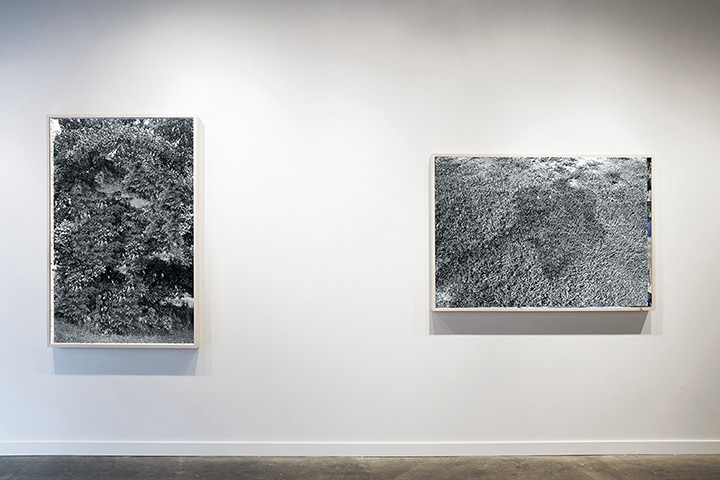 2017 Installation at Sandler Hudson Gallery in Atlanta, GA.