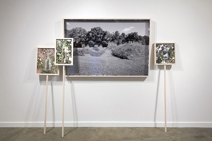 The Way She Put on Her Shoes, 2017, Archival pigment prints in custom standing maple frames, Installation dimensions variable