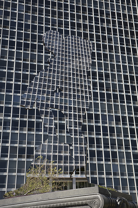 web.jpg