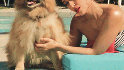 Pools in Palm Springs