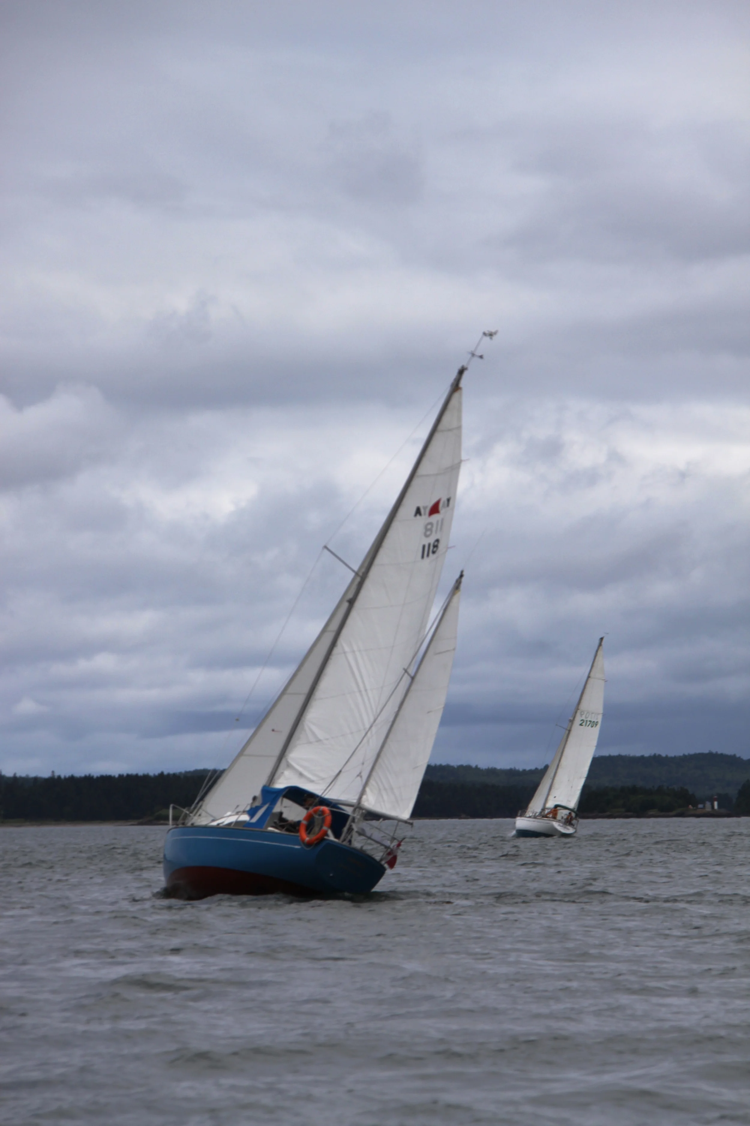 IMG_5056.jpg