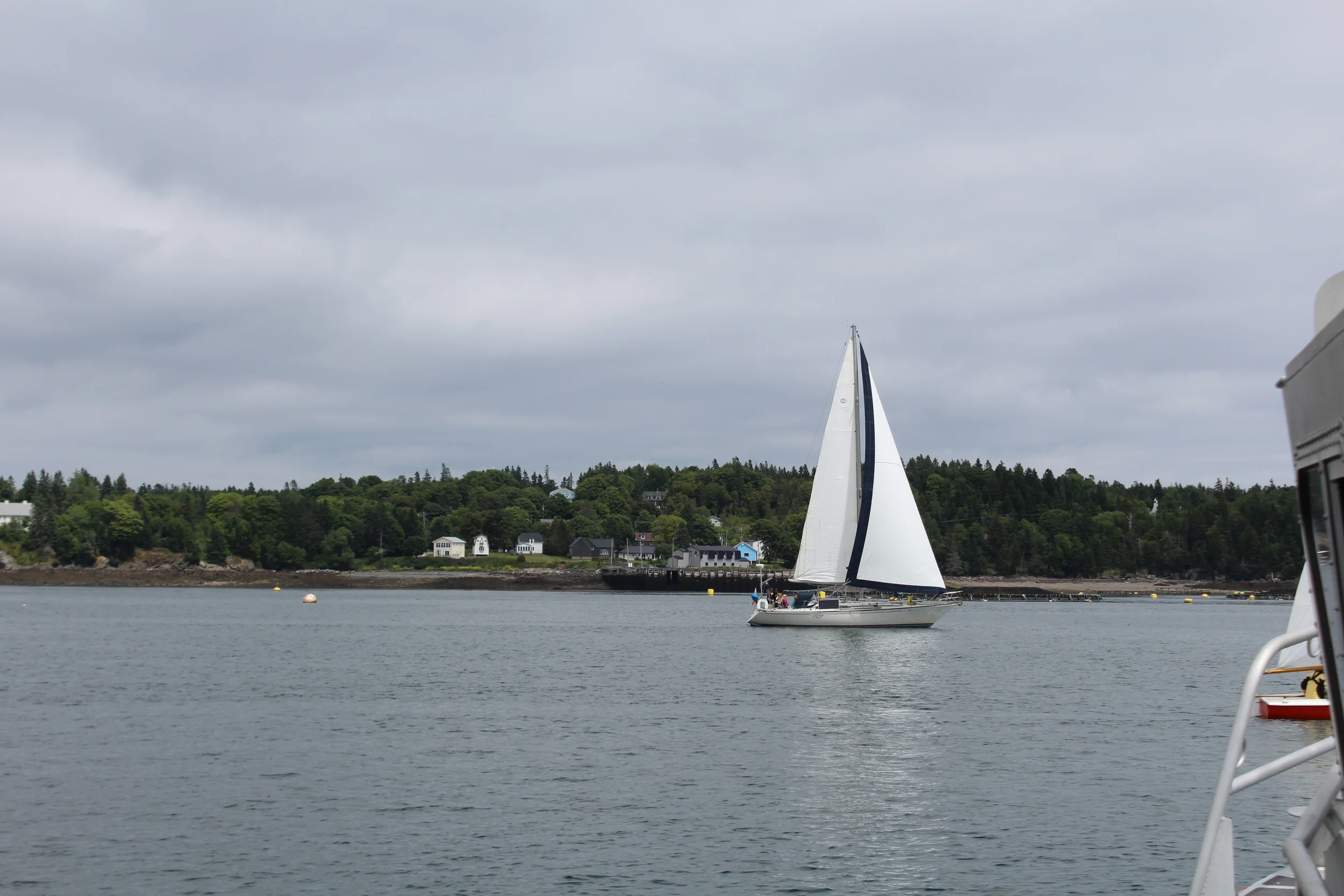 IMG_1173 - Copy - Copy.JPG