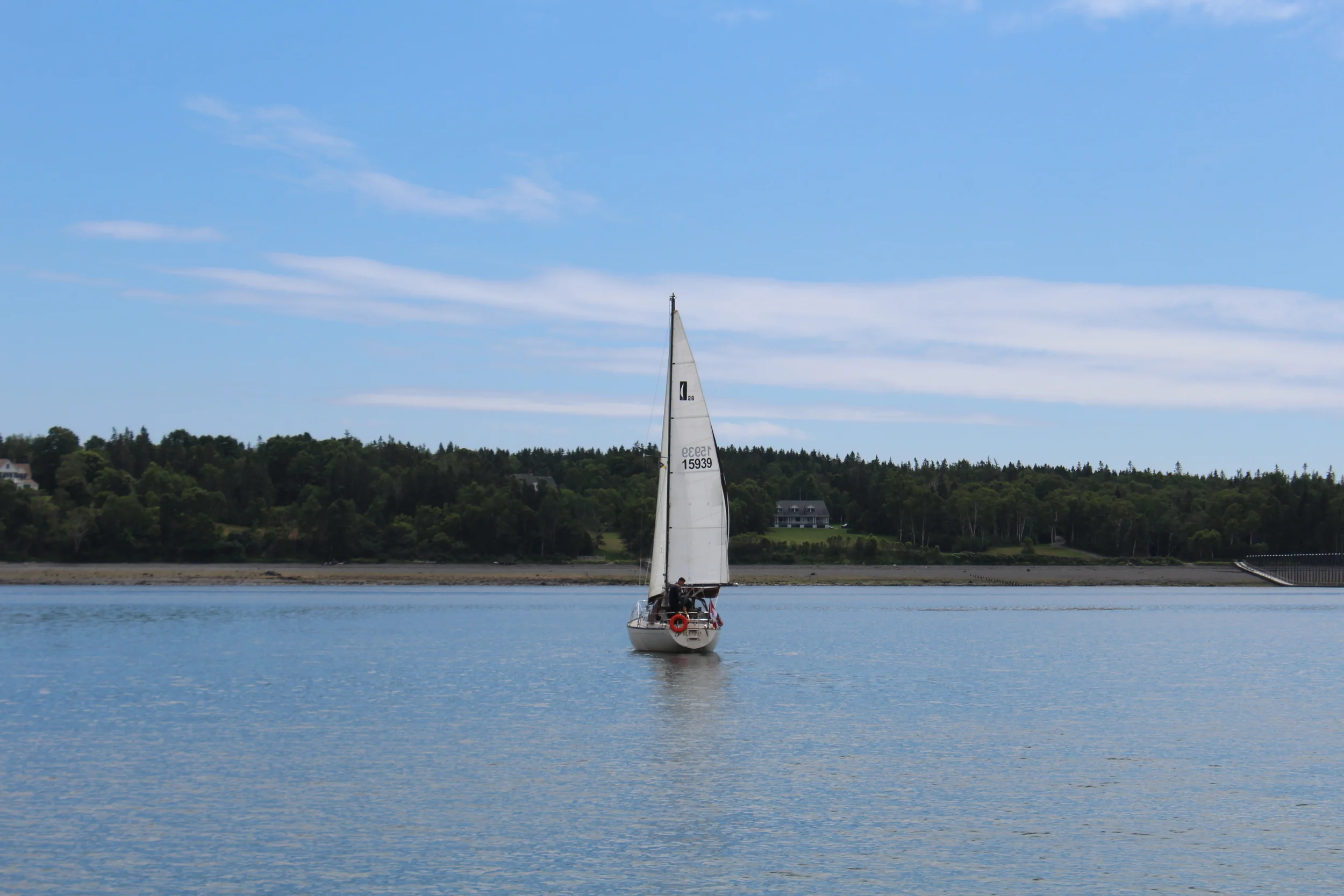 IMG_1174 - Copy - Copy.JPG