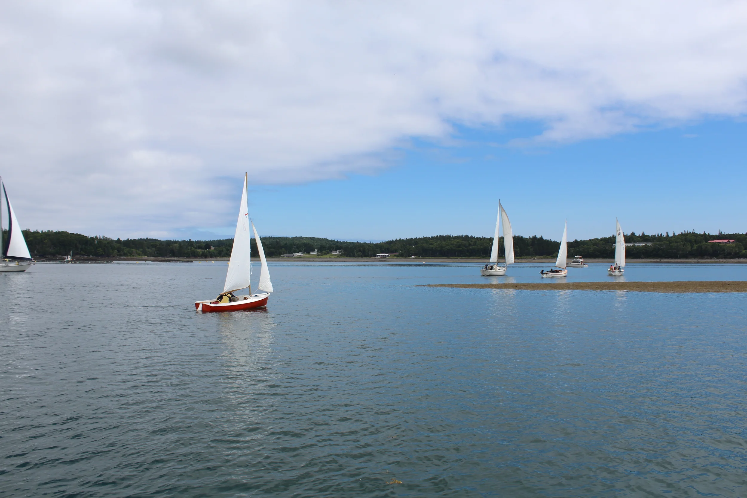 IMG_1178 - Copy - Copy.JPG