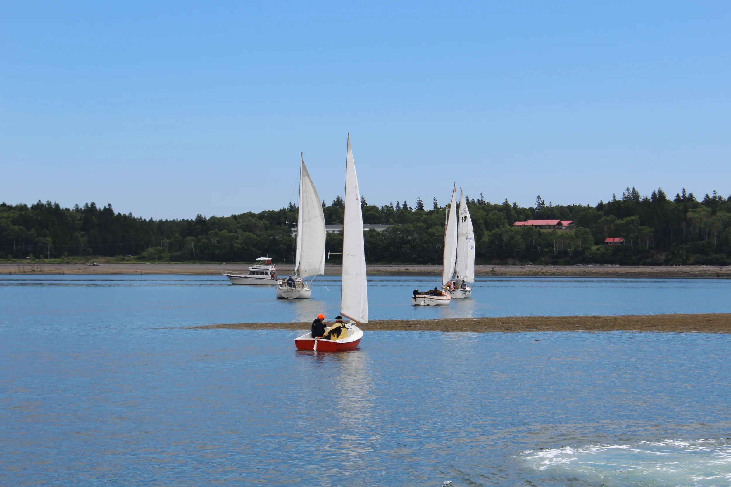 IMG_1184 - Copy - Copy - Copy.JPG