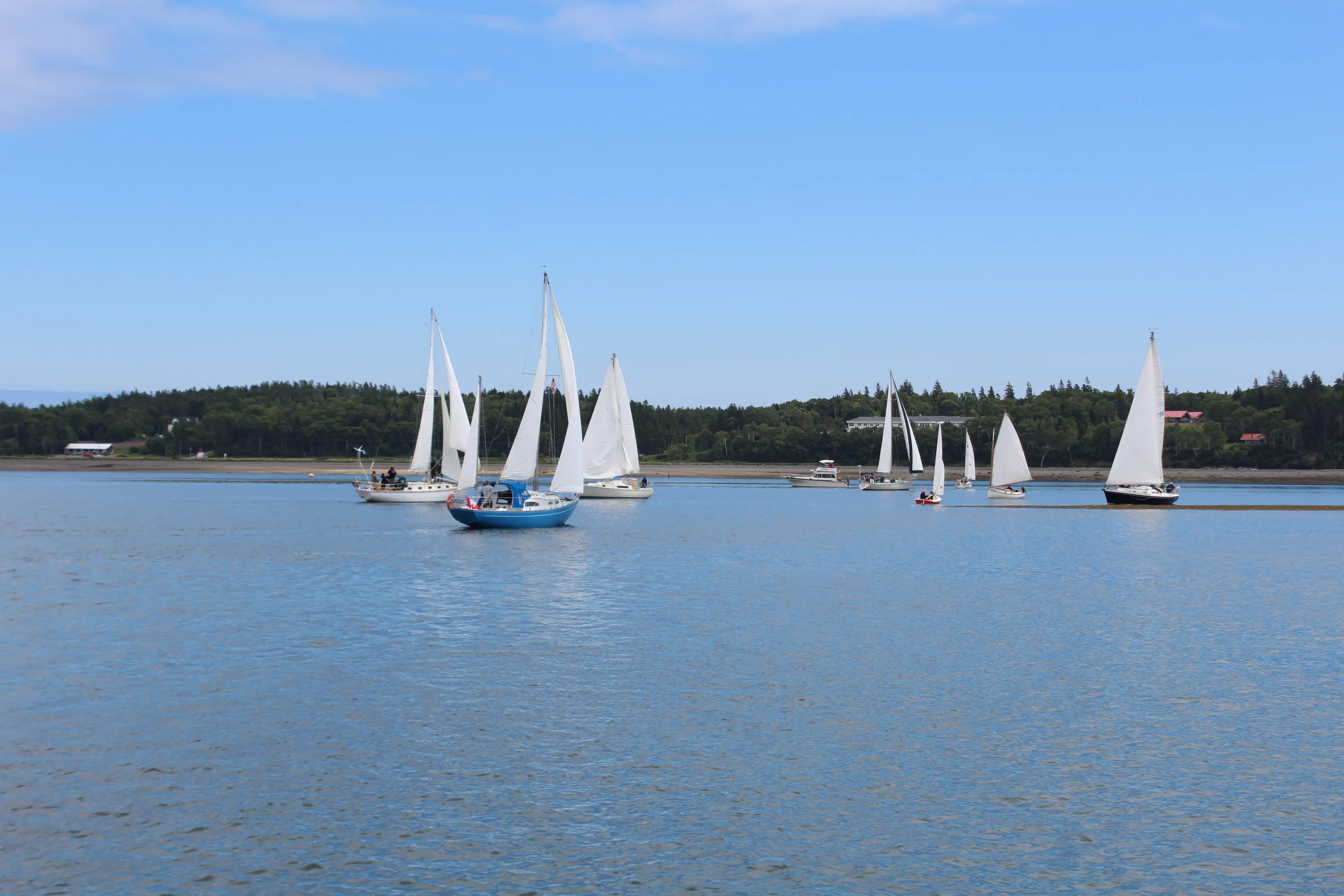 IMG_1188 - Copy - Copy - Copy.JPG