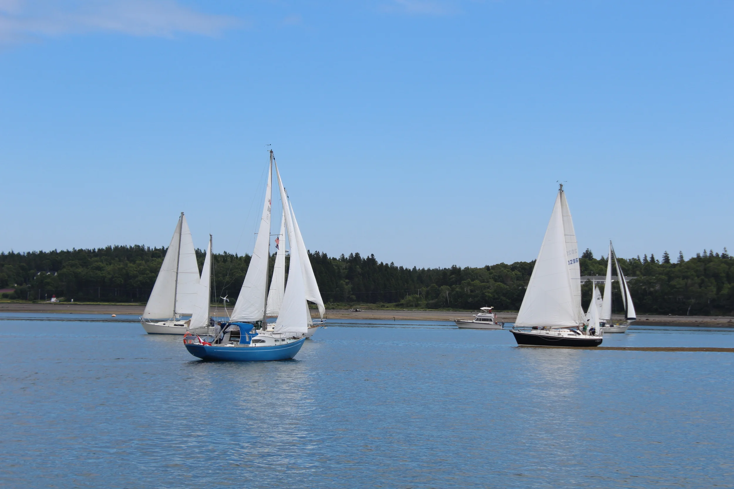 IMG_1191 - Copy - Copy - Copy.JPG