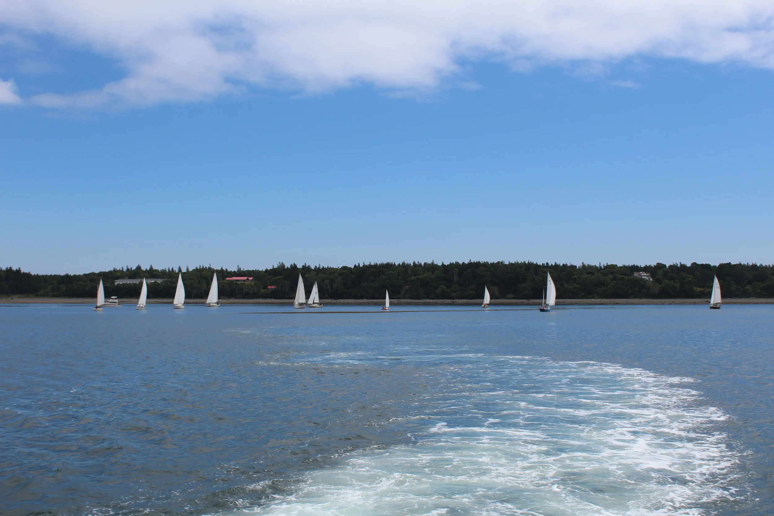 IMG_1192 - Copy (2) - Copy.JPG