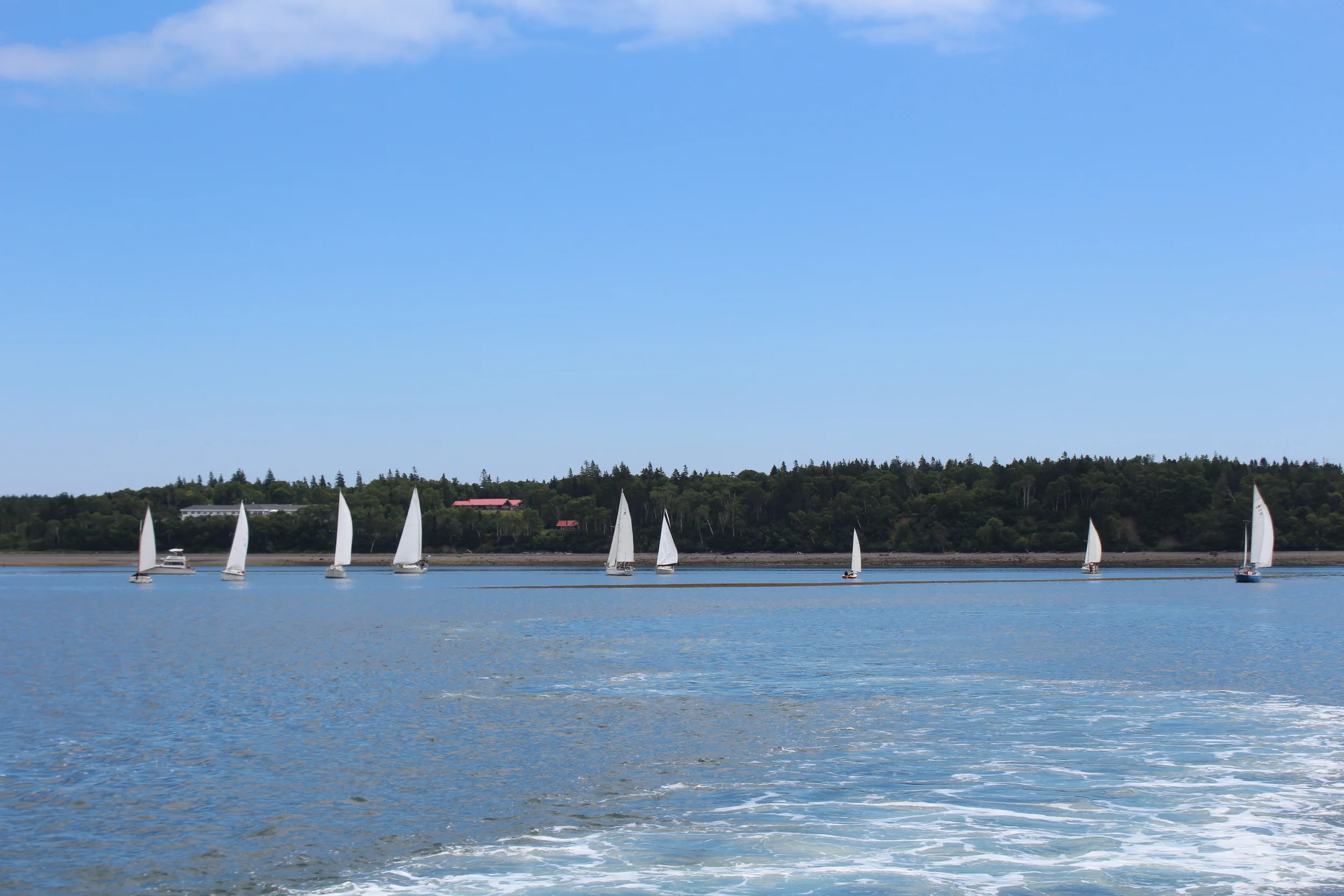 IMG_1193 - Copy - Copy - Copy.JPG