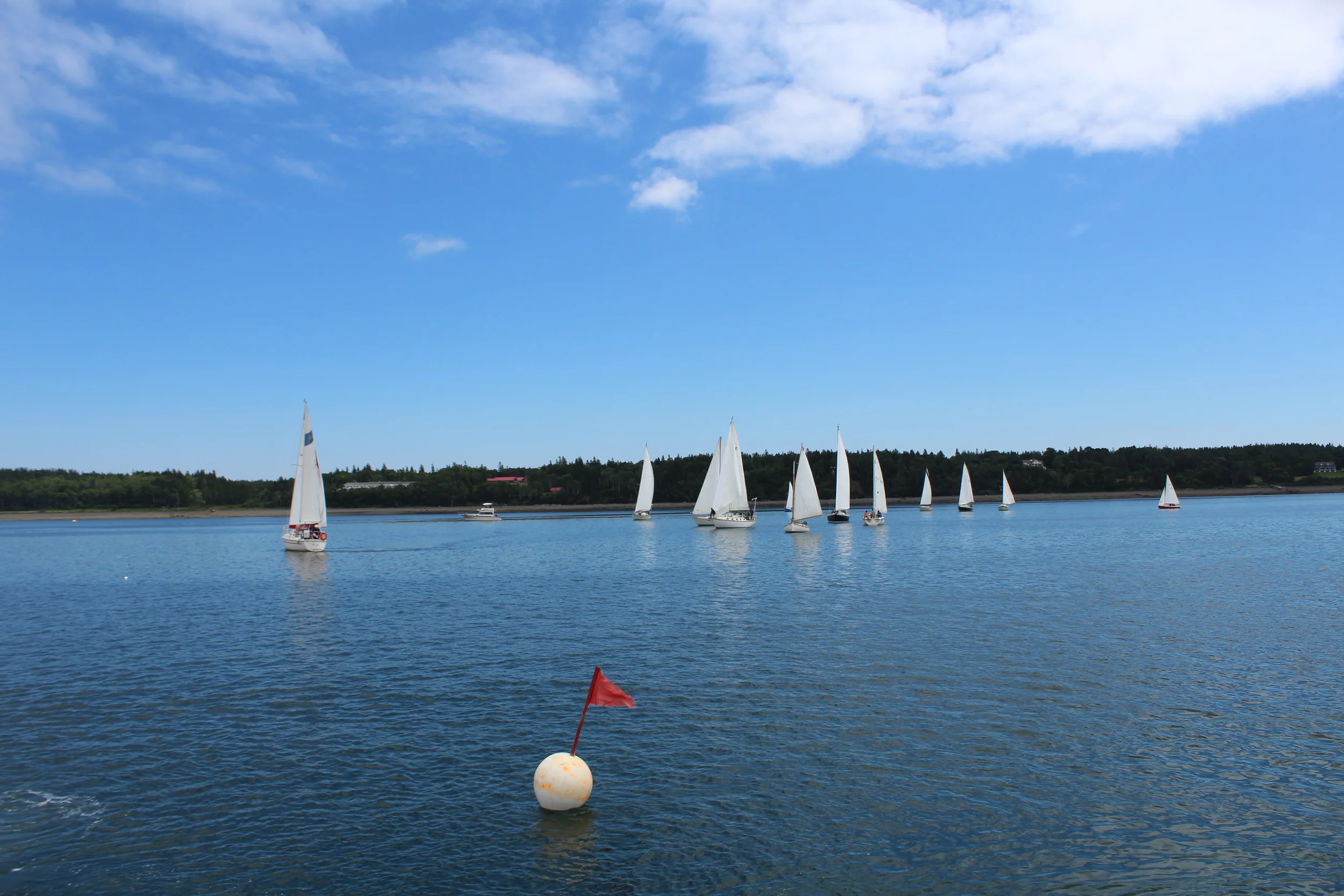 IMG_1204 - Copy - Copy - Copy.JPG