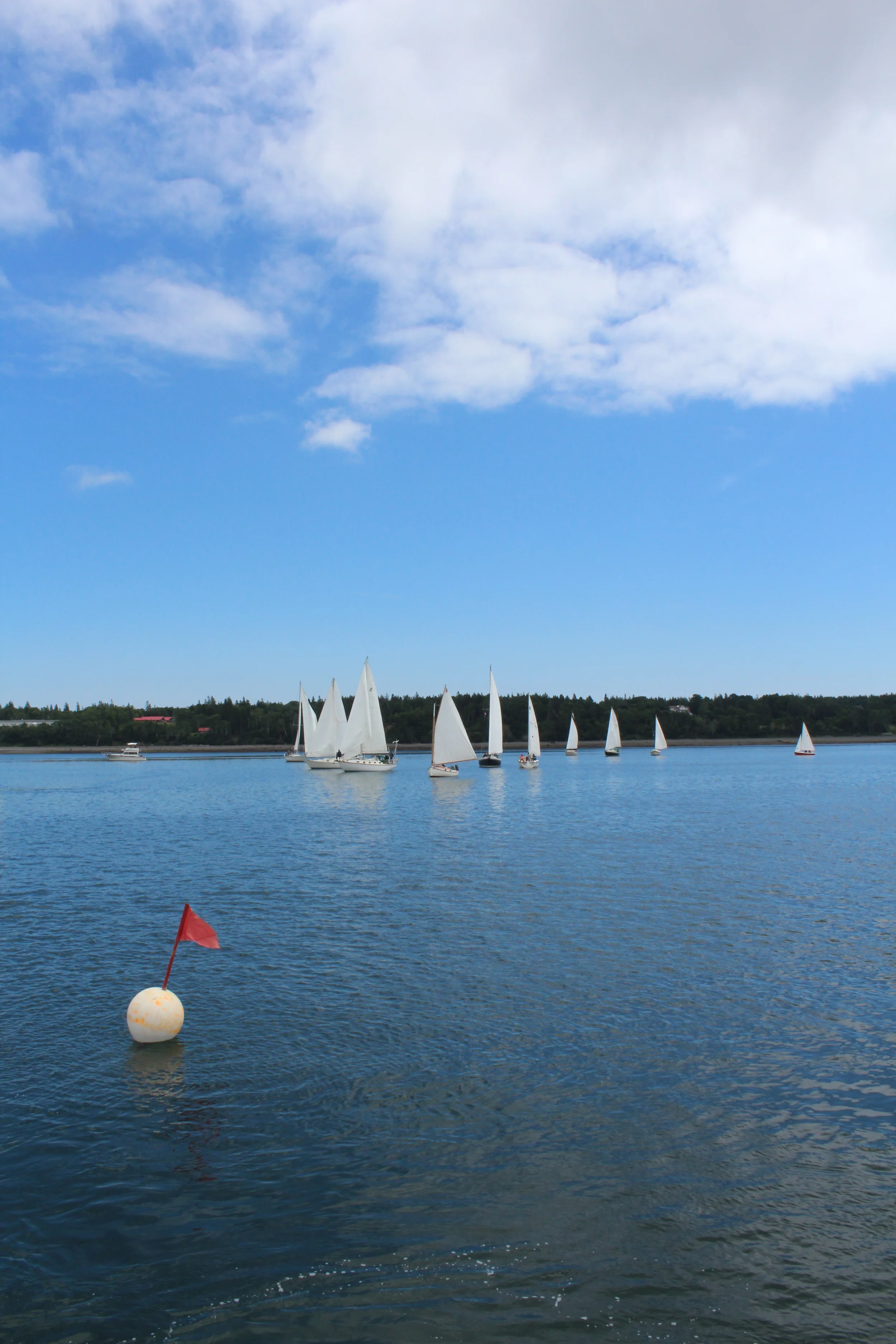 IMG_1206 - Copy (2) - Copy.JPG