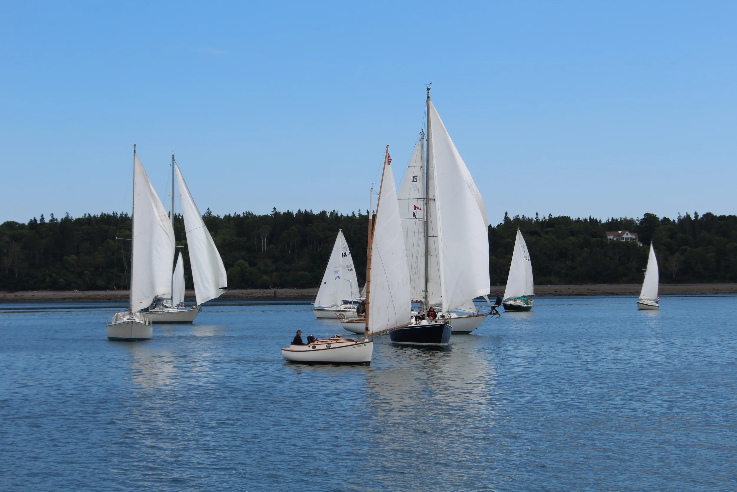 IMG_1210 - Copy - Copy - Copy.JPG