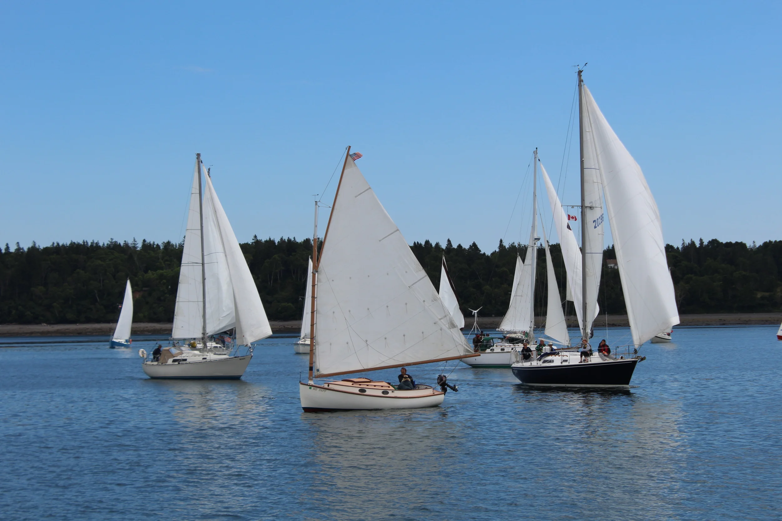 IMG_1211 - Copy - Copy - Copy.JPG