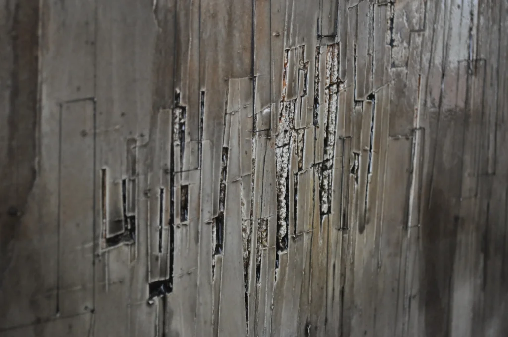 cover 01.jpg