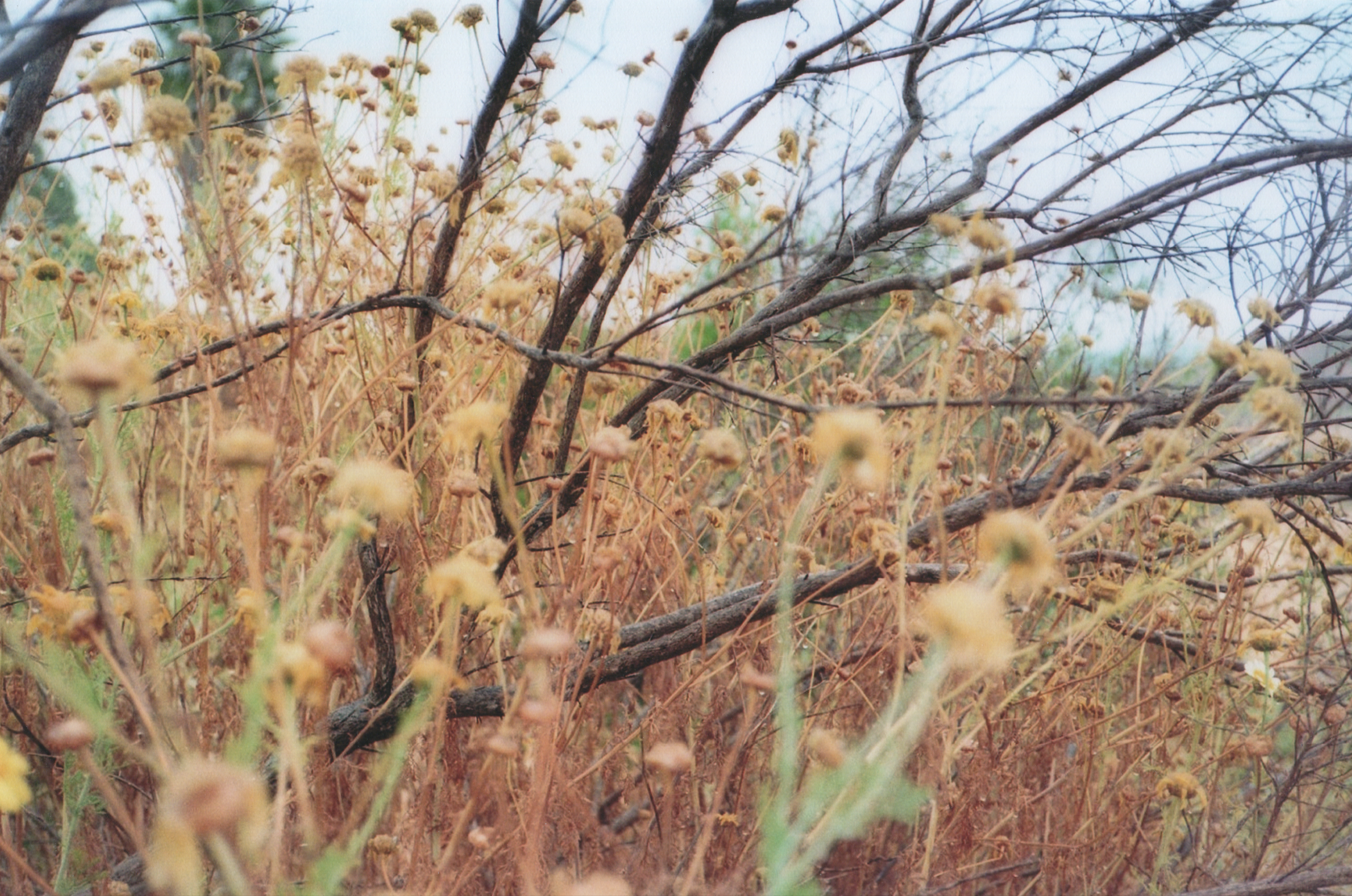 Screen Shot 2019-10-07 at 2.29.45 PM.png