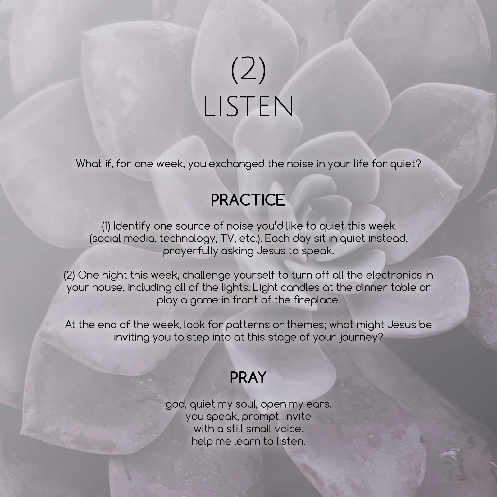 Lent Project_20183.jpg