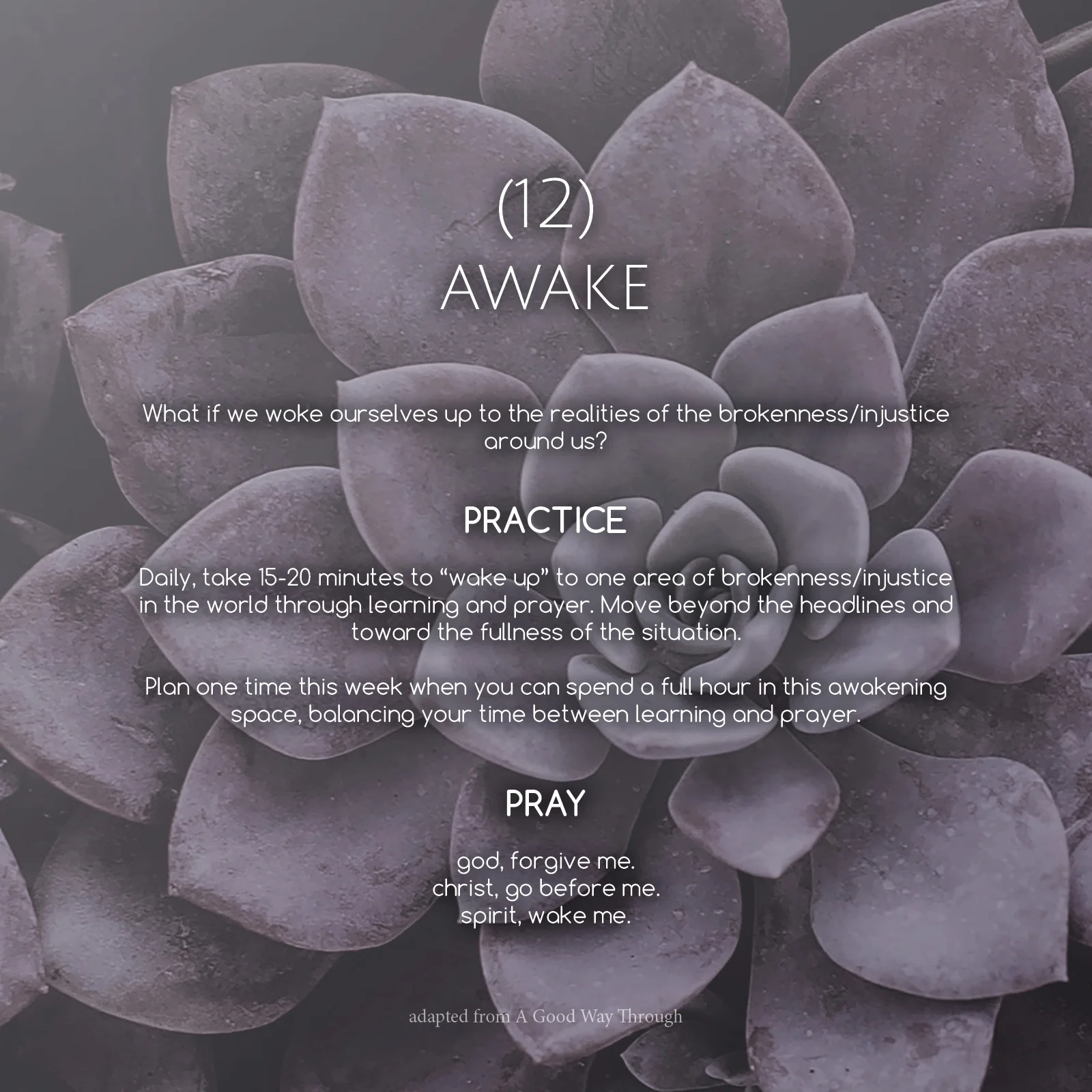 Lent Project_201823.jpg