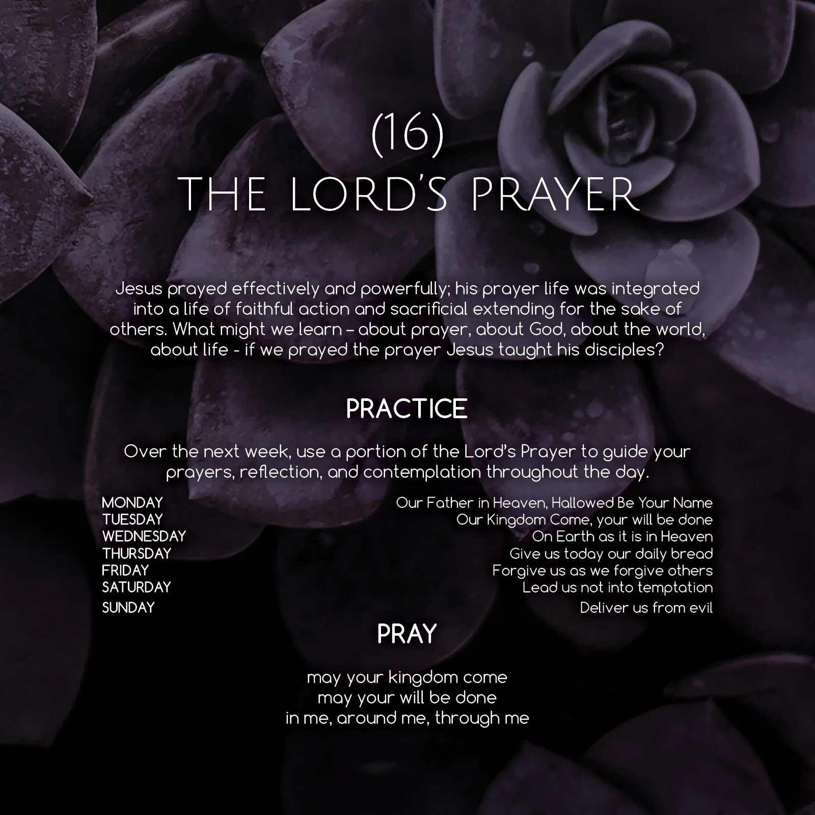 Lent Project_201831.jpg