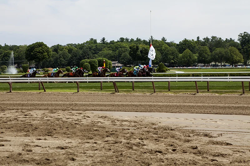 saratoga_racetrack.jpg