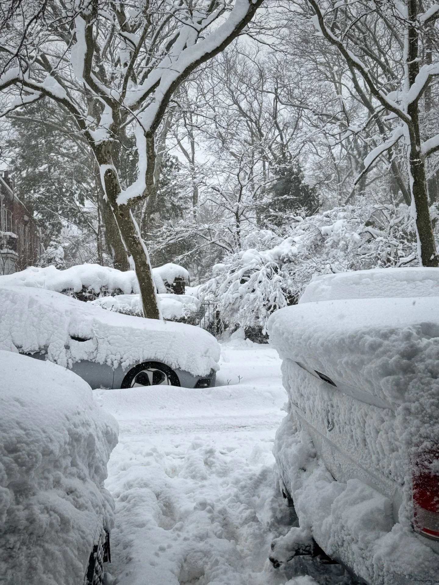 8/52 weekly round-up 🤍 more snow, cabin fever, and my first jog in over a year!!

#aileenIRL #bitsandpieces