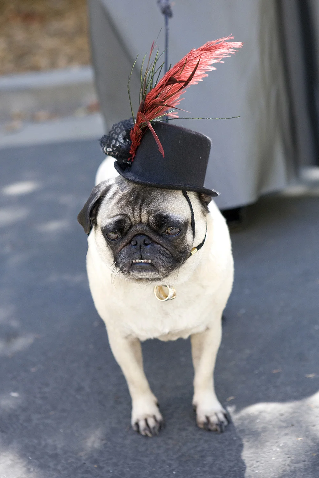CemetaryCeremony0008.jpg