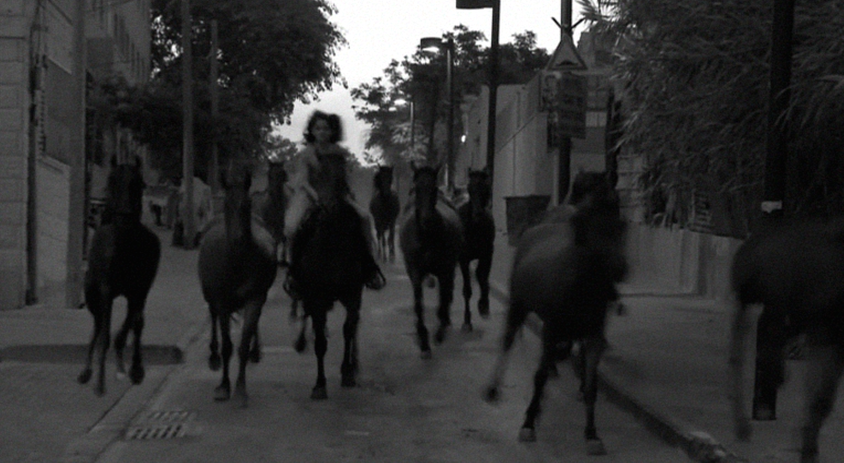 옥상 영화 상영회 III/ Rooftop Film screening III curated by Lior Shamriz