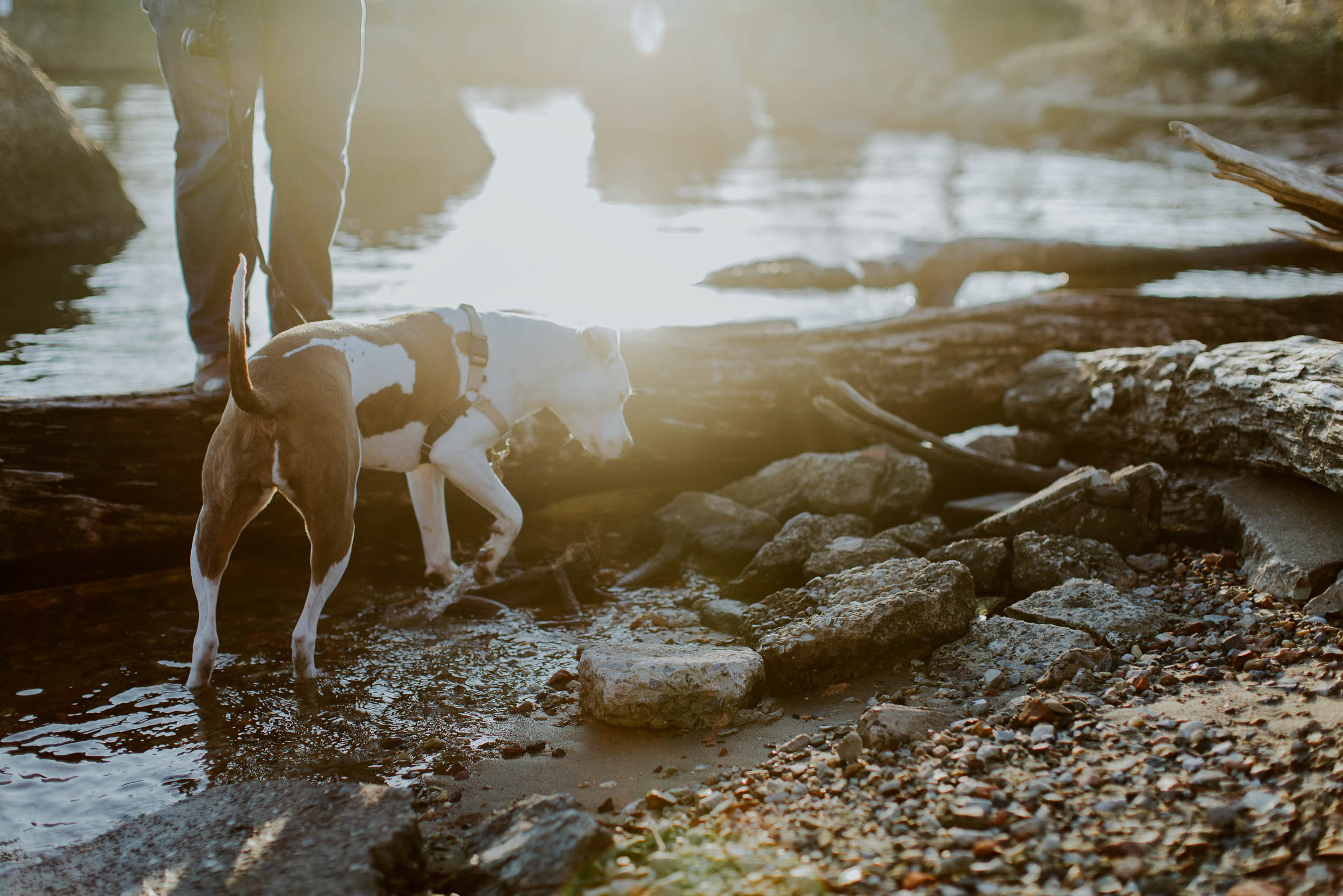 Kristen-Humbert-Family-Photoshoot-Philadelphia_Ruby-James-W-2-33.jpg