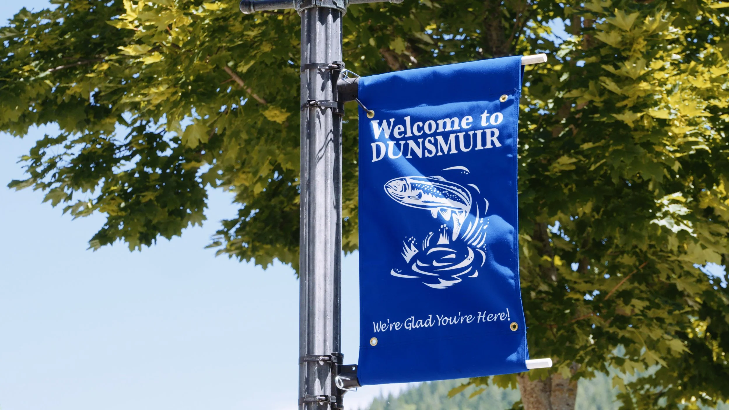 Request for proposals - Downtown Revitalization Strategy