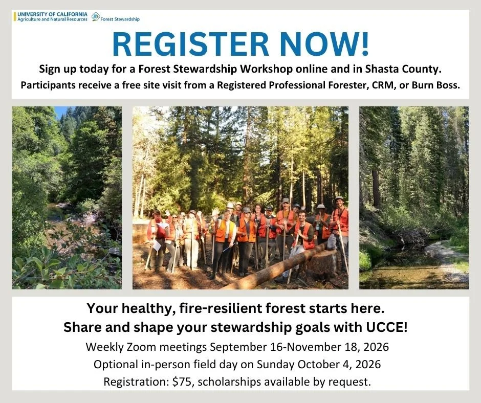 FSEShasta_Graphic_Register_Now.jpg