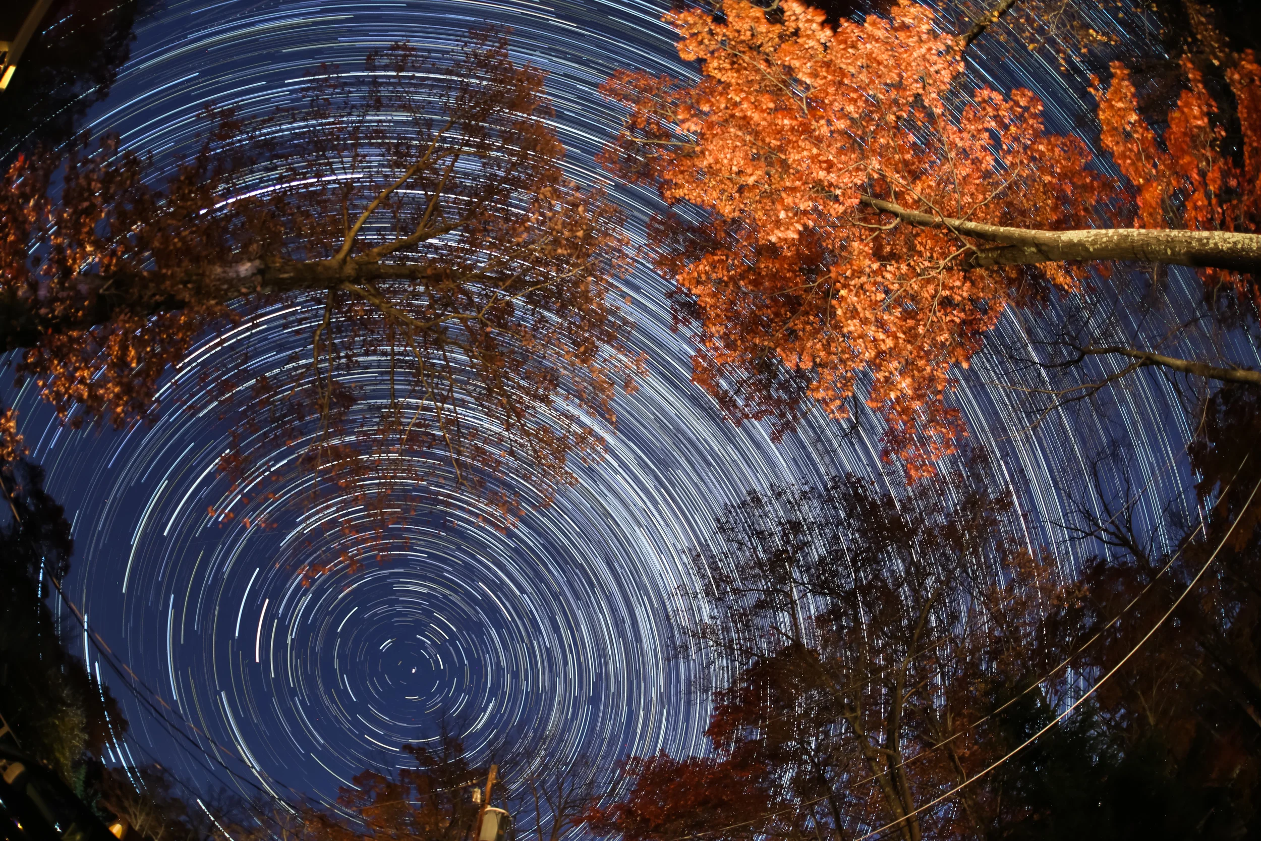 Star Trail-3.jpg