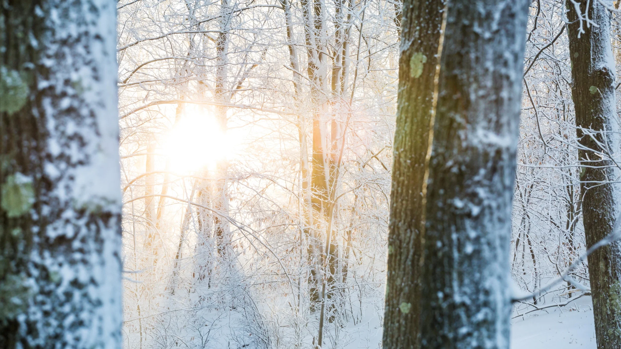 20160103-Reed_Weimer-Frost-Sunrise-374A4823.jpg