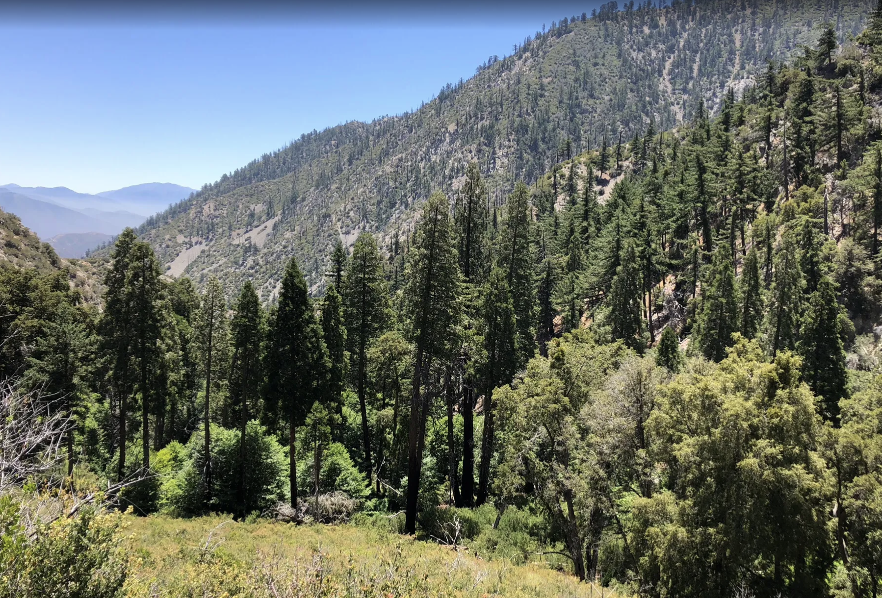 Screenshot 2026-04-10 at 9.45.59 AM.png