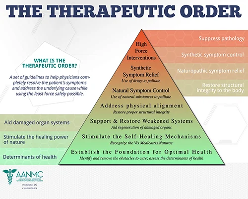 Therapeuitc_Order_poster500.jpg