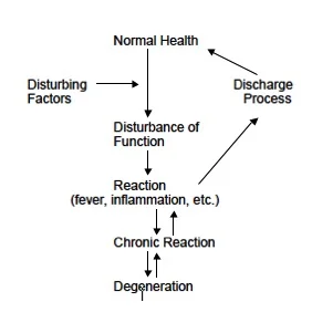 DISEASEPROCESS.jpg