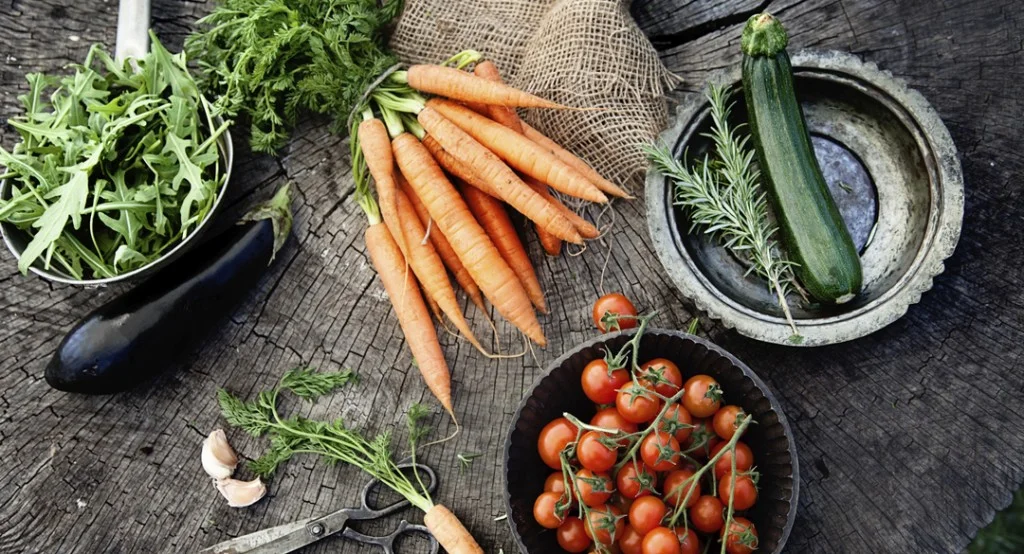 What is the Elimination Diet?