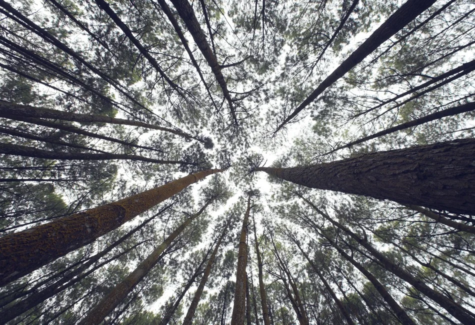 Are Naturopaths REAL doctors?!