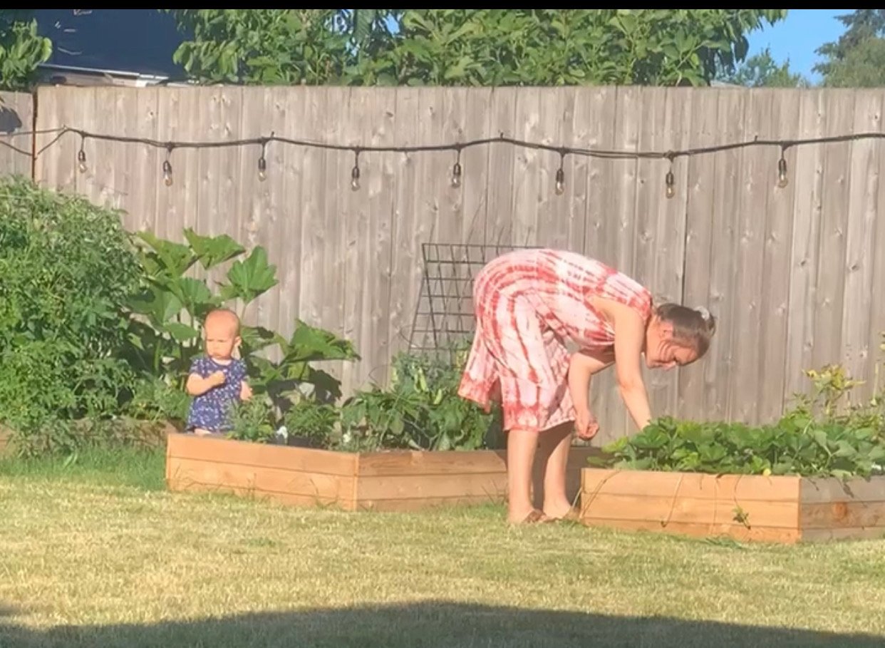  This year’s garden included tomatoes, zucchini, bell peppers, jalapeños, snap peas, strawberries, blueberries and several herbs. Dreaming of homesteading one day. 