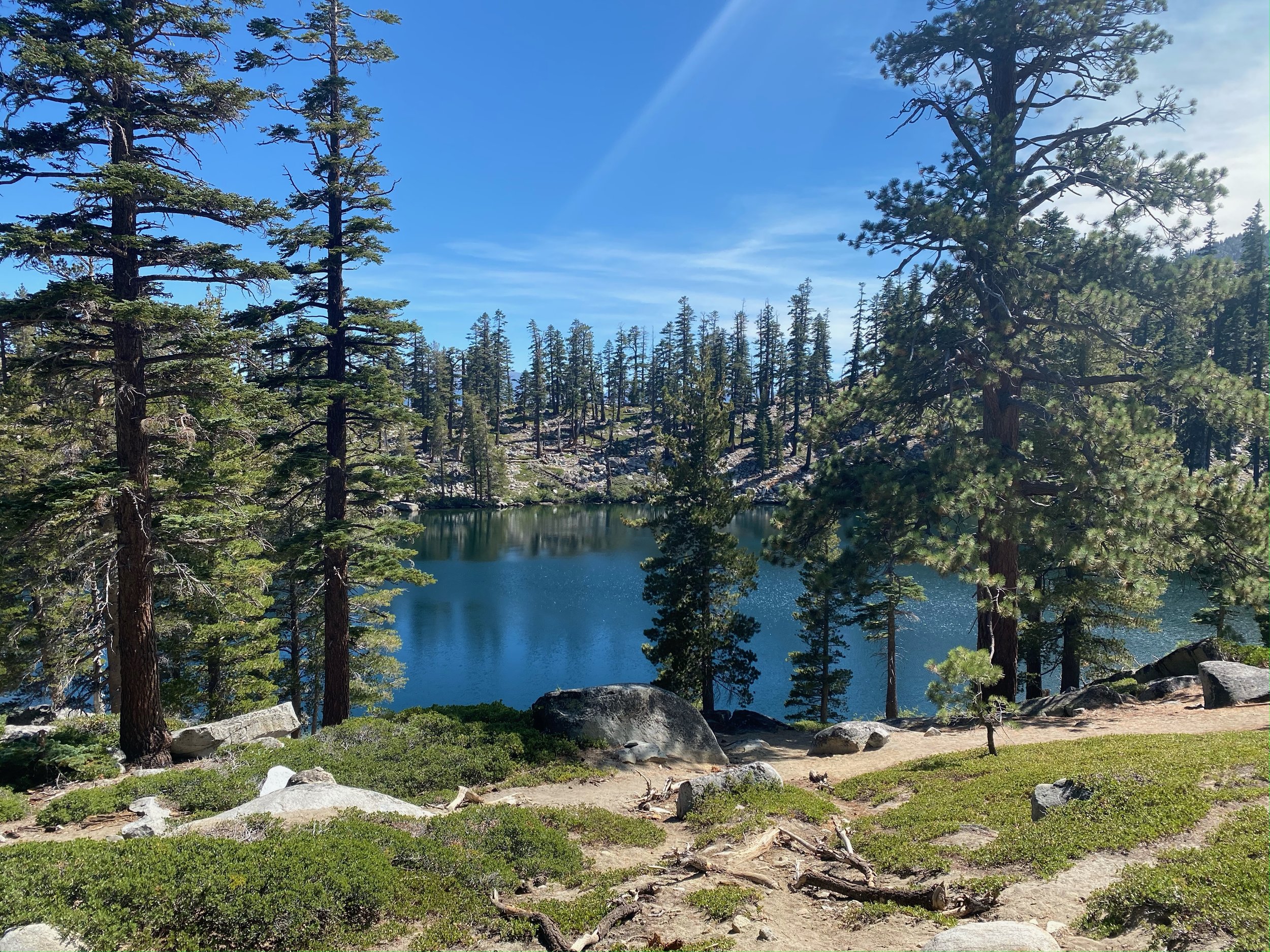  Walking or hiking in nature are some of my favorite ways of decompressing and reconnecting with my family. This photo was hiking to Maggie’s Peak at Lake Tahoe. 