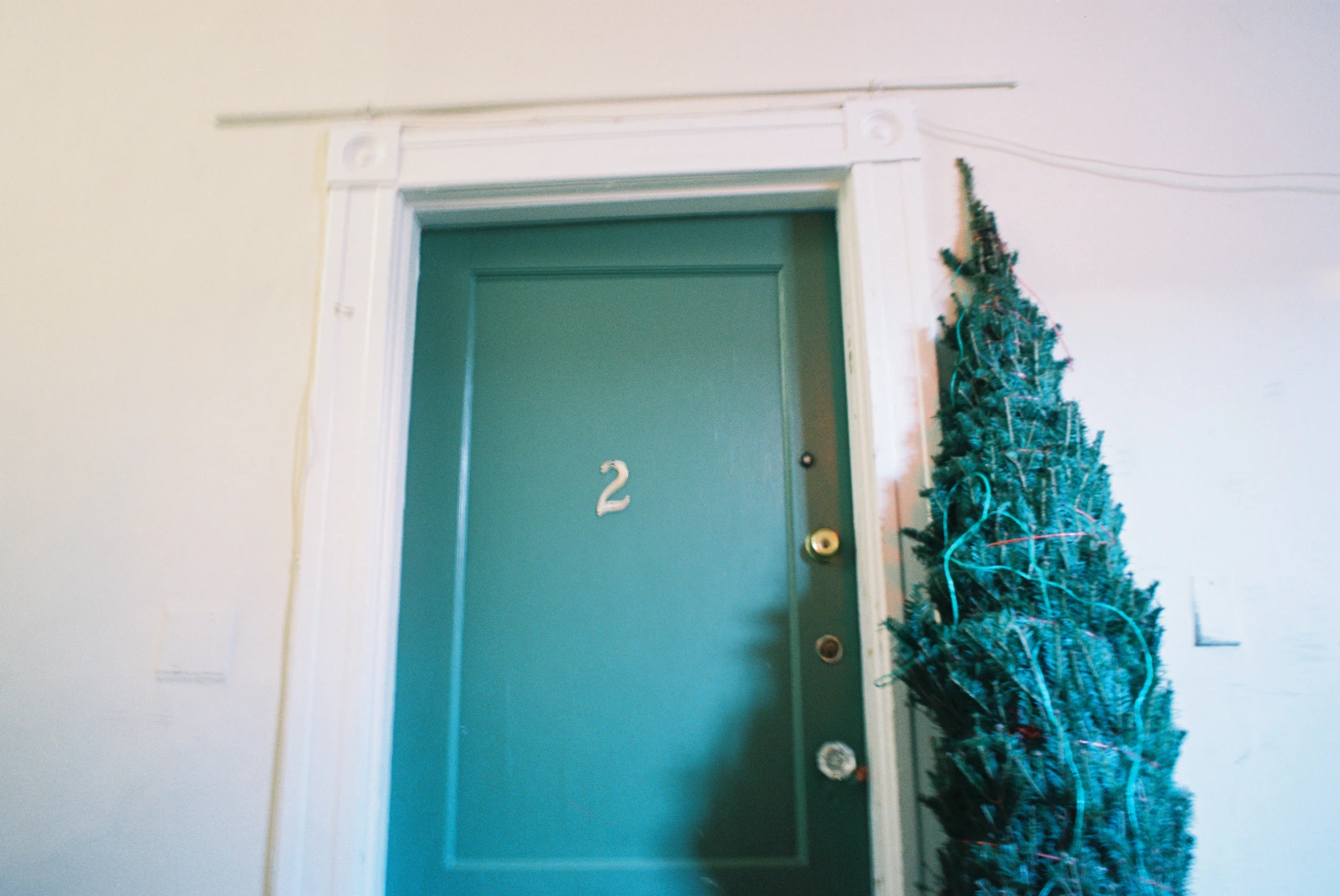 My first Christmas tree shot with agfa vista 200 35mm film