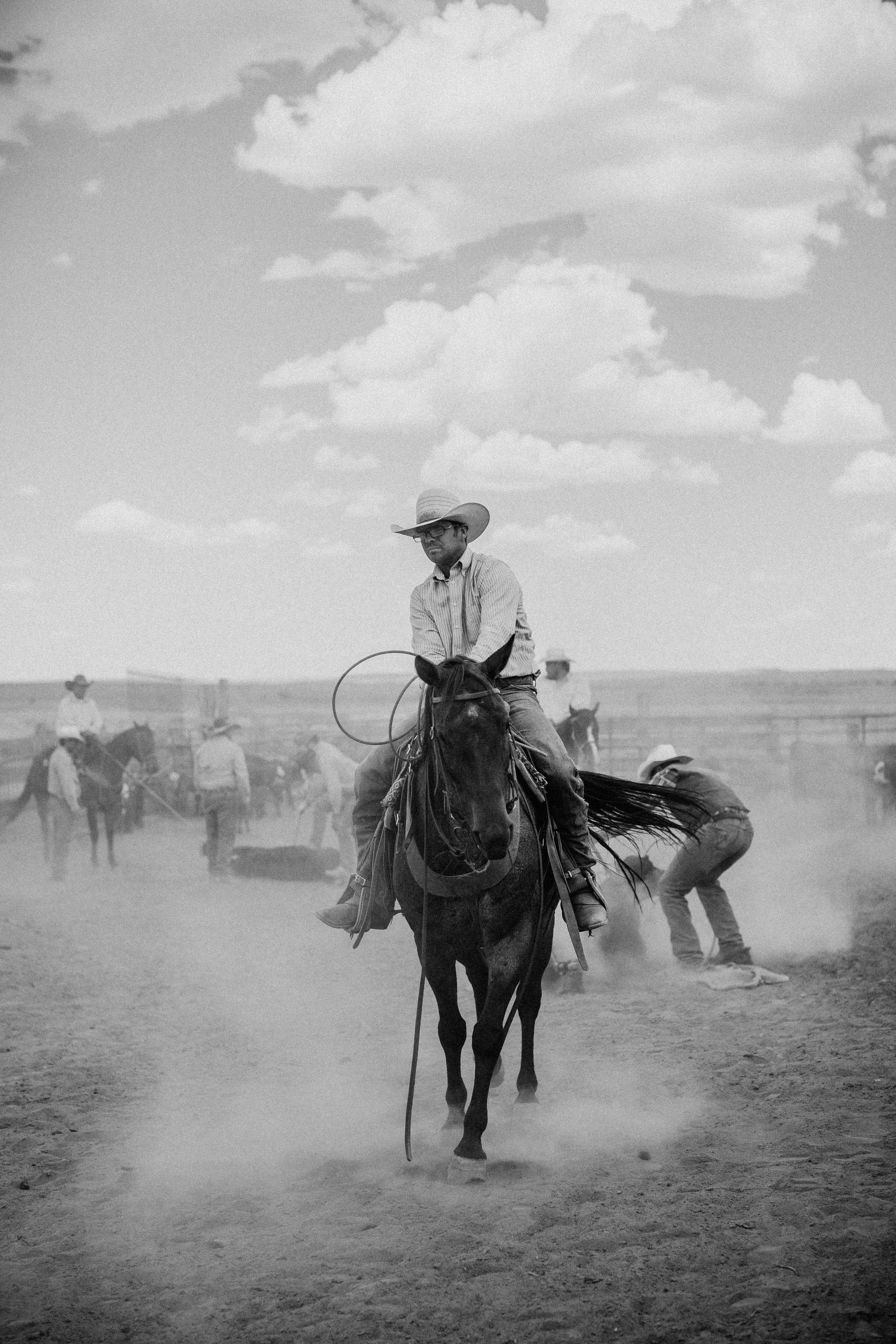 cattle-drive-8656.jpg