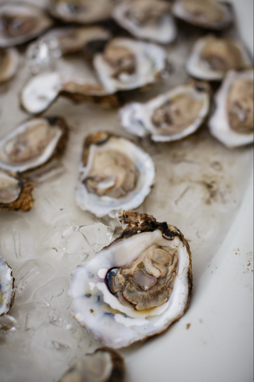 Screen Shot 2015-09-25 at 10.21.11 AM.png