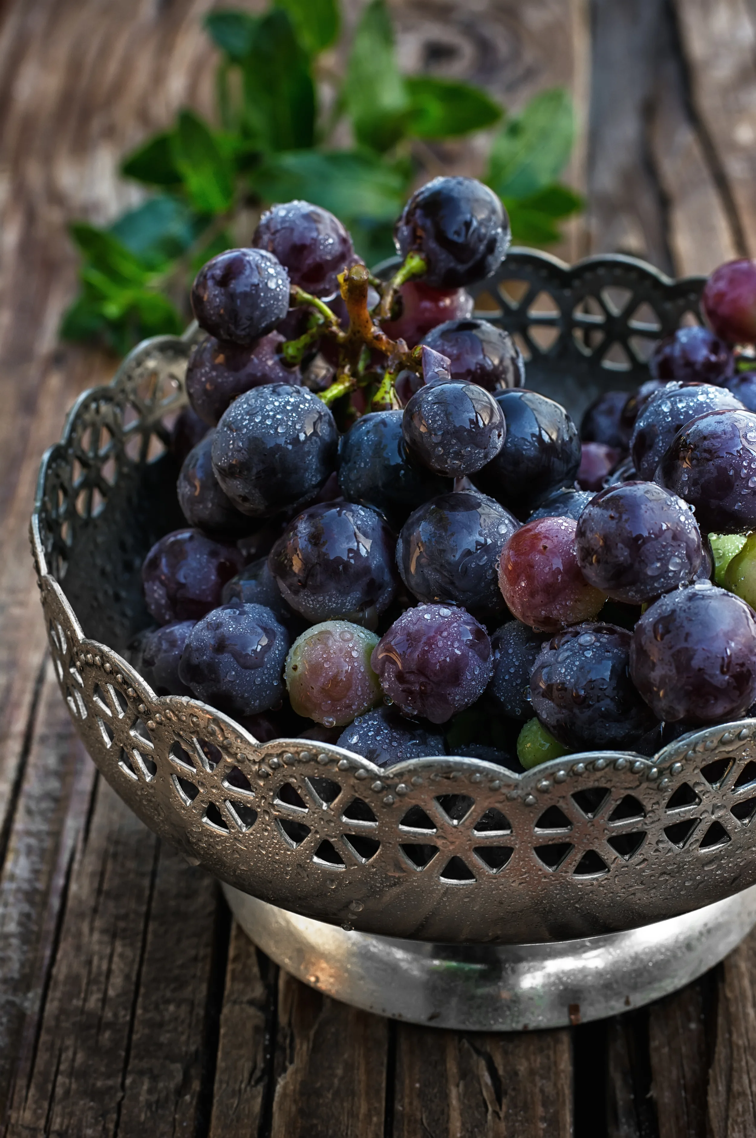 shutterstock_320135252.jpg