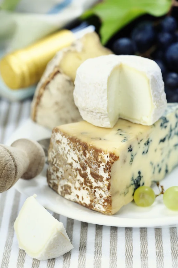 stockfresh_1288014_wine-and-cheese_sizeS_2a42d3.jpg
